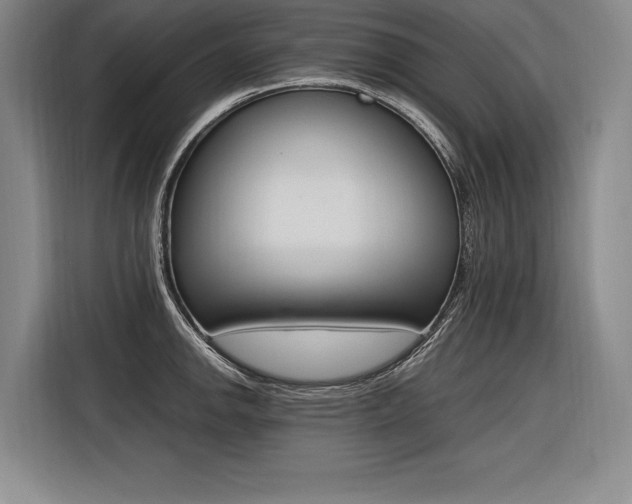 X0000116581142200912101304
