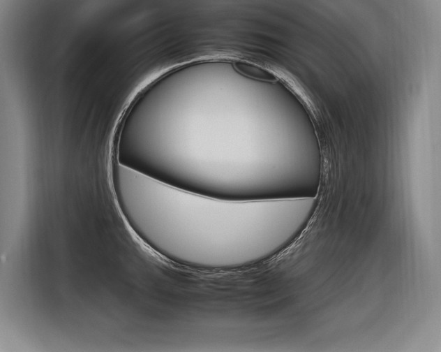 X0000116581143200912101304