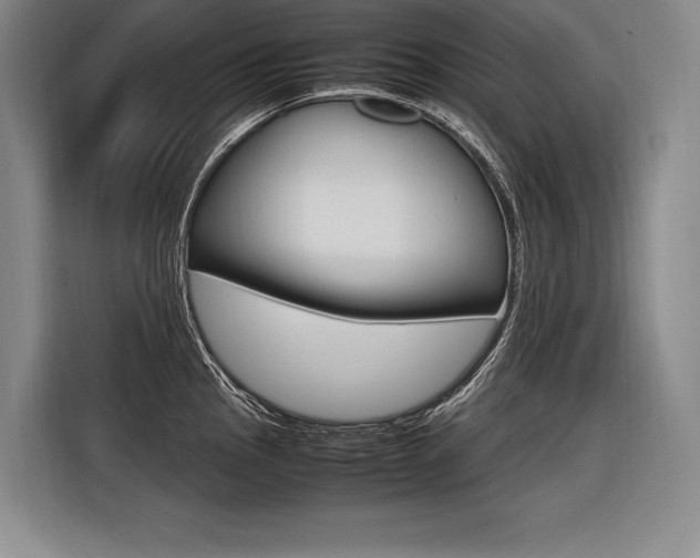 X0000116581145200912101304