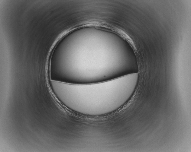 X0000116581146200912101304