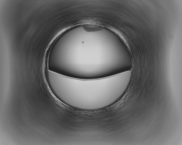 X0000116581147200912101304