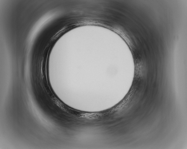 X0000116581150200912101304