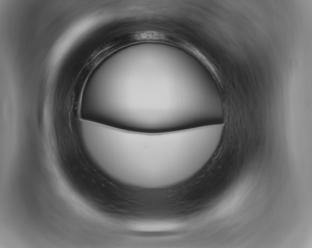 X0000116581151200912101304