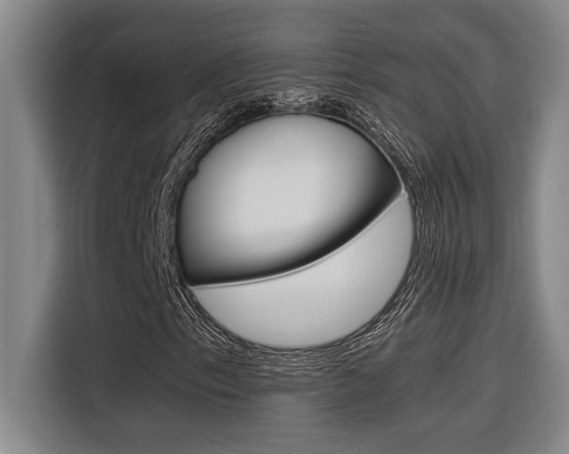 X0000116581153200912101303