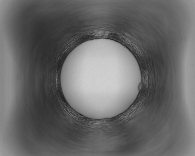 X0000116581154200912101303