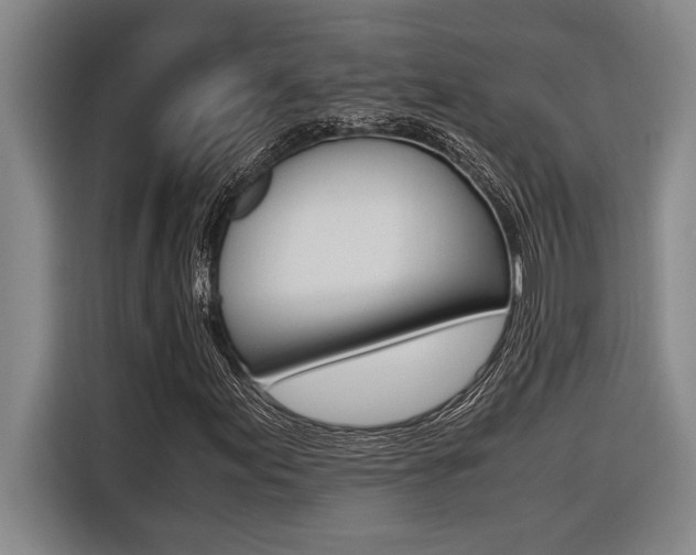 X0000116581155200912101303
