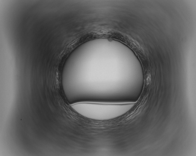 X0000116581156200912101303
