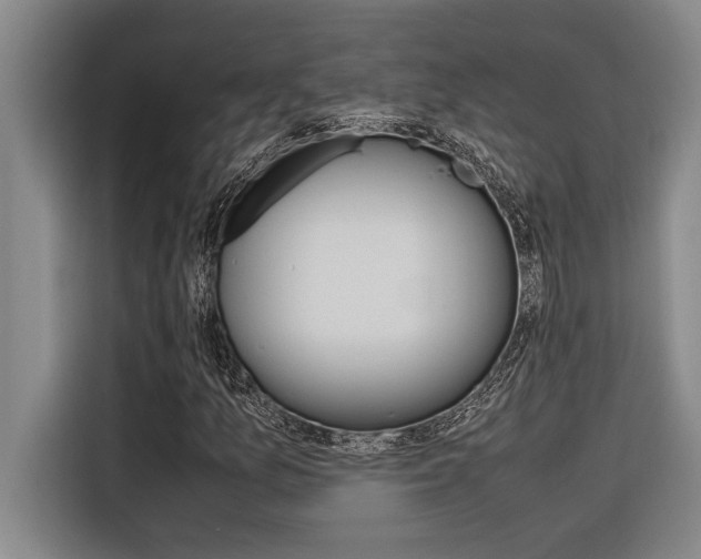 X0000116581157200912101303