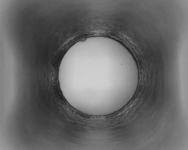 X0000116581158200912101303