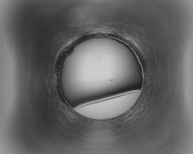 X0000116581159200912101303