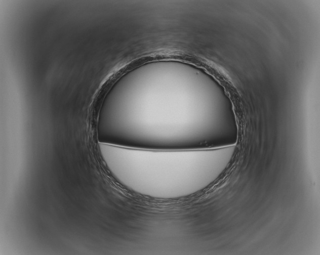 X0000116581160200912101303