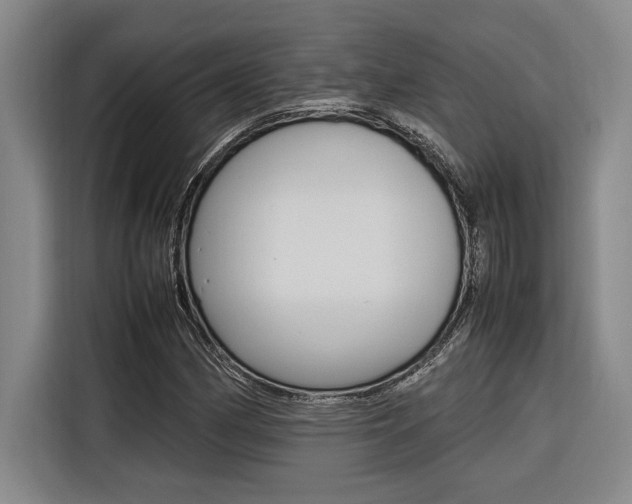 X0000116581162200912101303