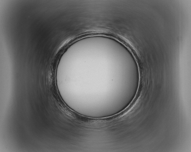 X0000116581163200912101303