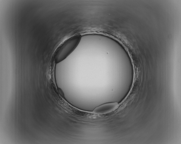 X0000116581165200912101303