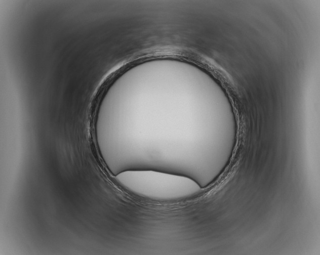 X0000116581166200912101303