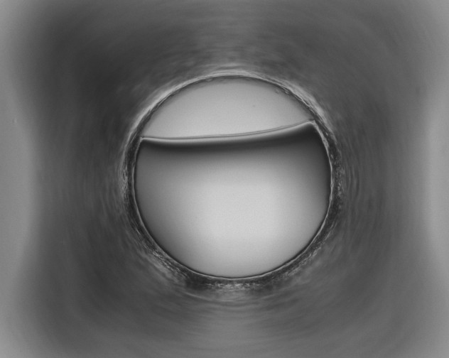 X0000116581167200912101303
