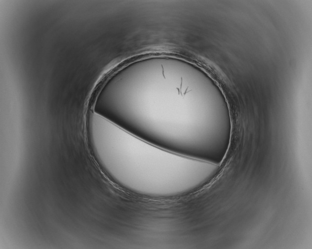X0000116581168200912101303