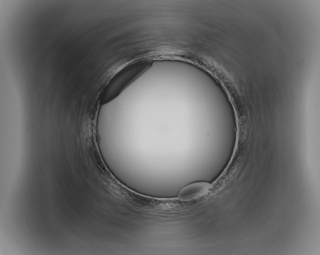 X0000116581169200912101303