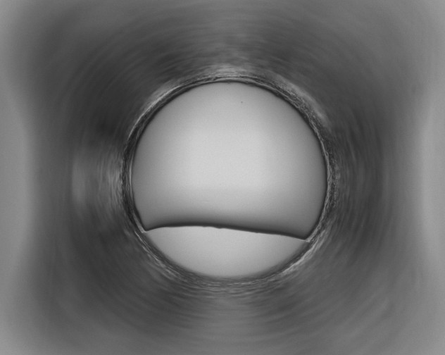 X0000116581170200912101303