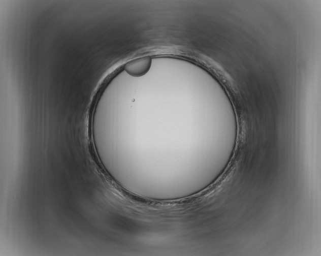 X0000116581174200912101303