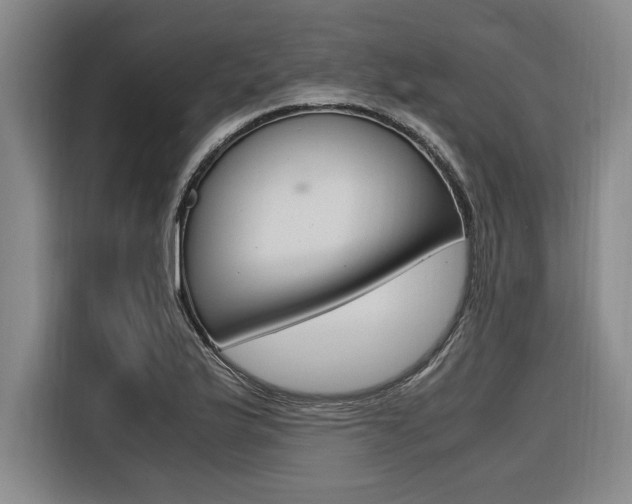 X0000116581175200912101303