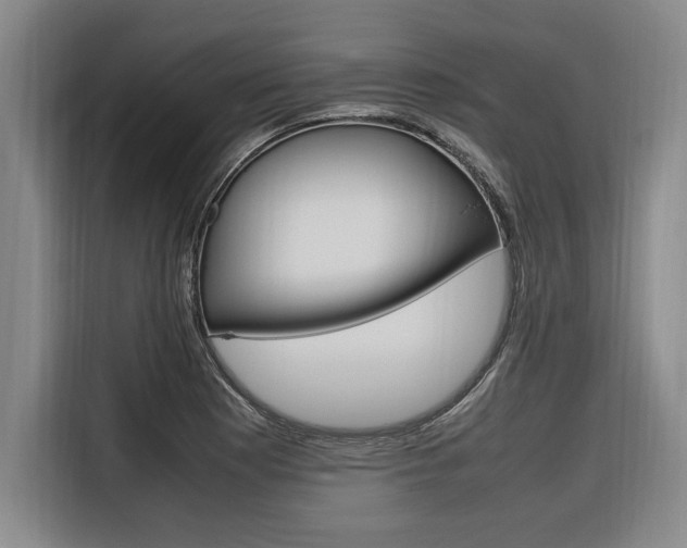 X0000116581177200912101303