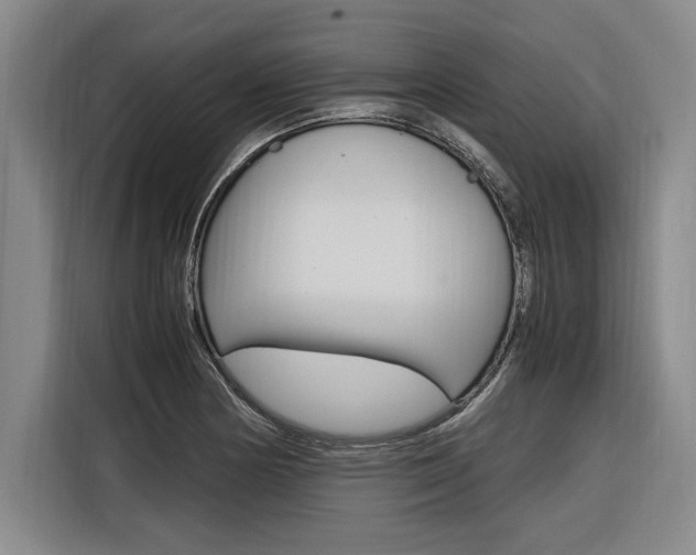 X0000116581178200912101303