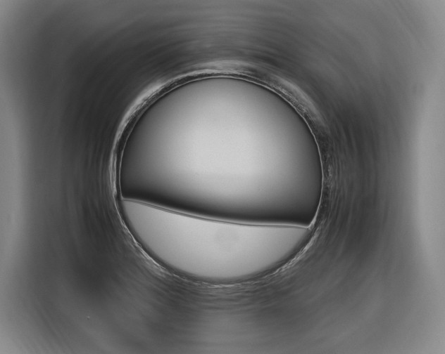 X0000116581180200912101303