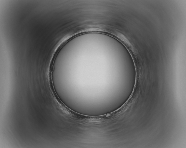 X0000116581181200912101303