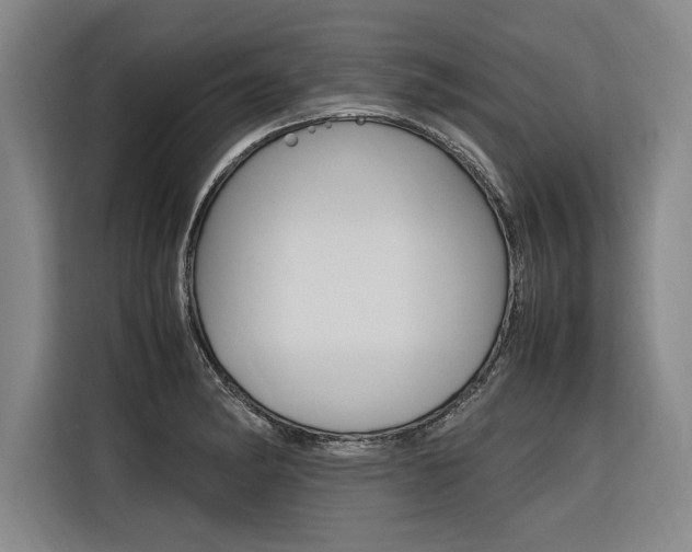 X0000116581182200912101303