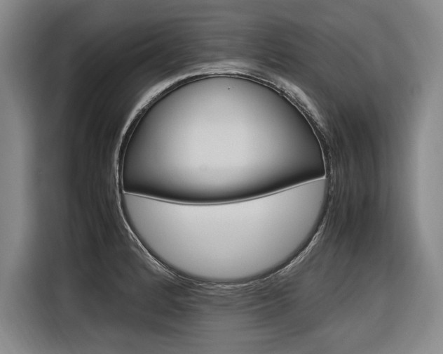 X0000116581184200912101303