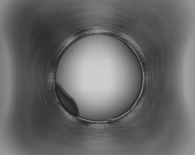 X0000116581185200912101303