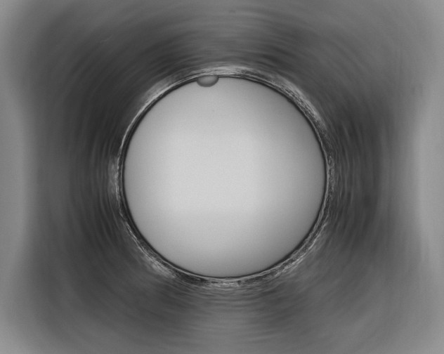 X0000116581186200912101303