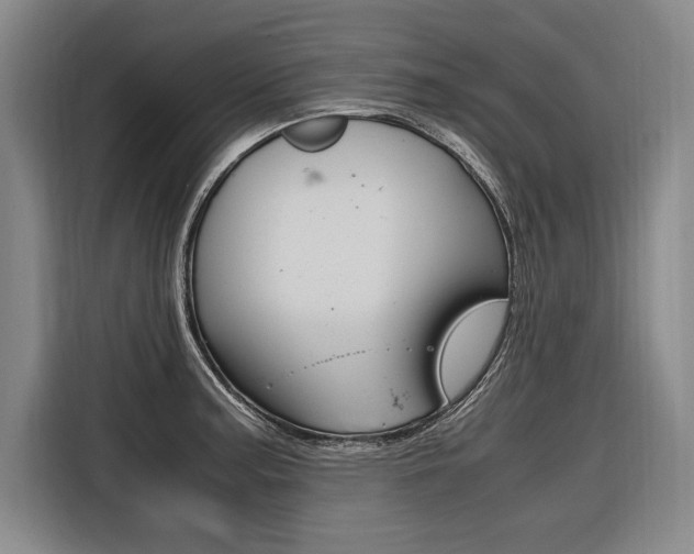 X0000116581187200912101303