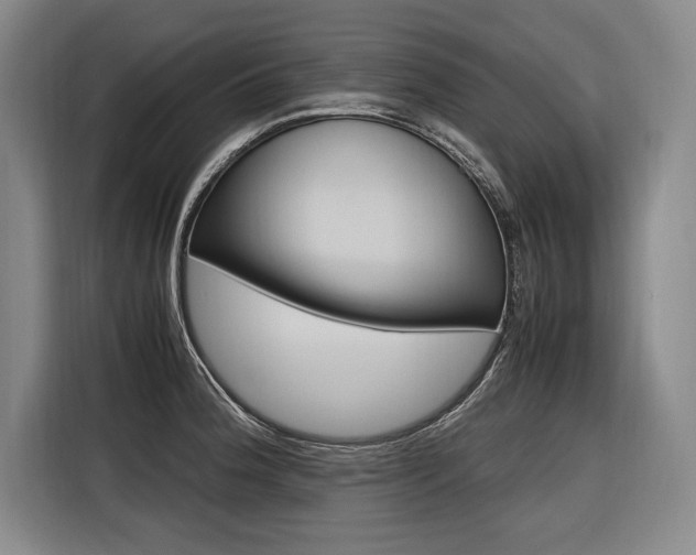 X0000116581188200912101303