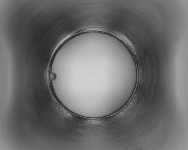 X0000116581190200912101303