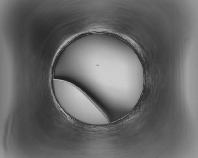 X0000116581191200912101303