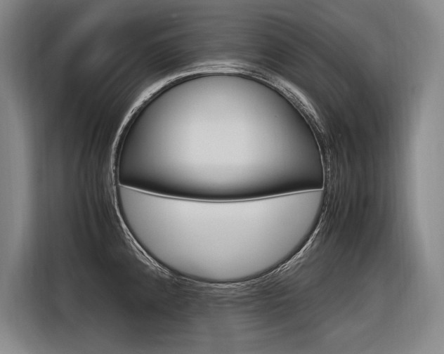 X0000116581192200912101303