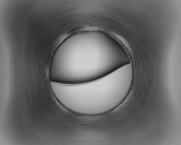X0000116581193200912101303