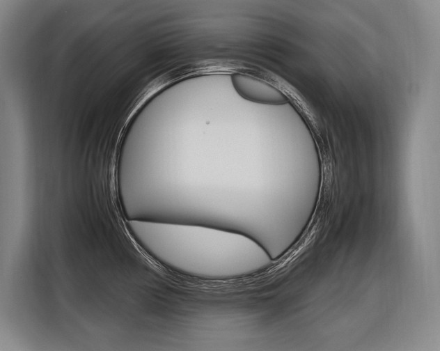 X0000116581194200912101303