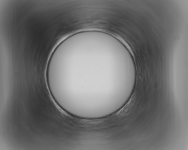 X0000116581197200912101302