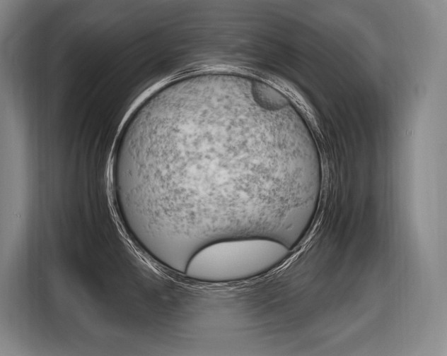 X0000116581198200912101302