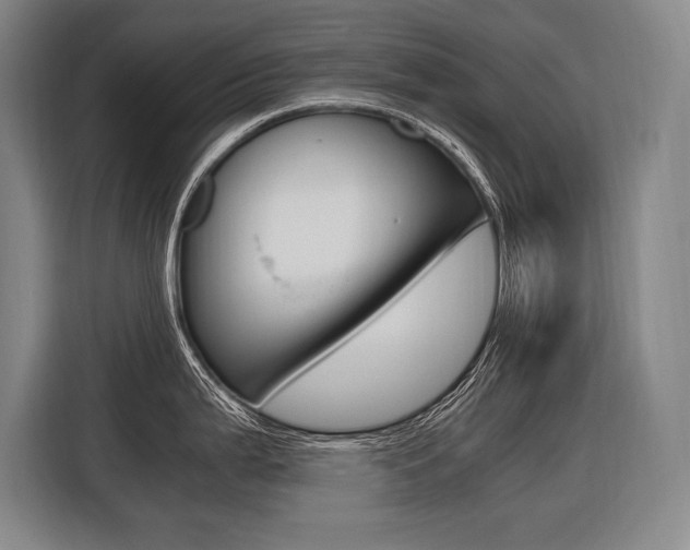 X0000116581199200912101302