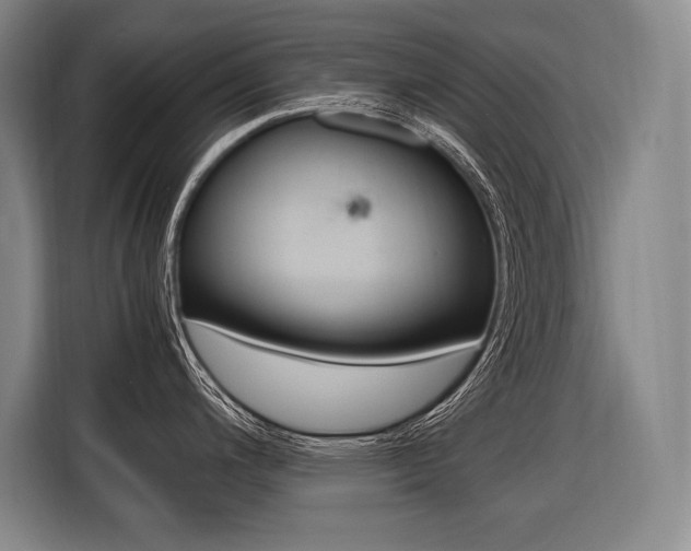 X0000116581200200912101302