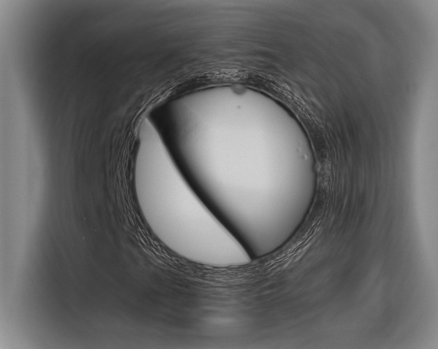 X0000116581201200912101302