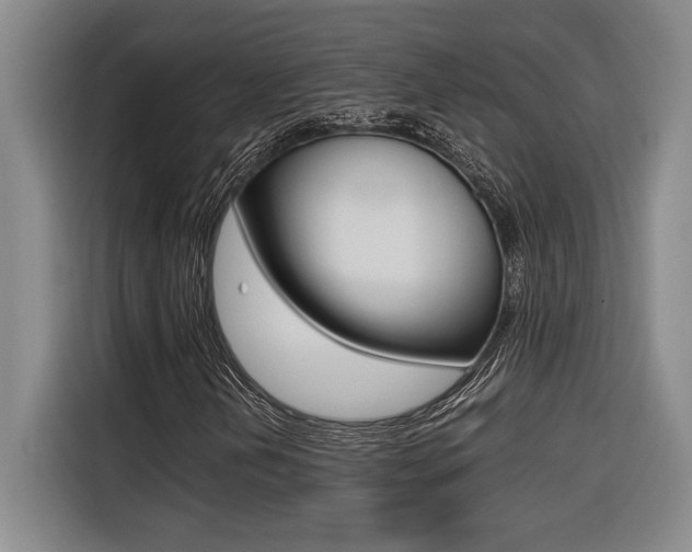 X0000116581202200912101302