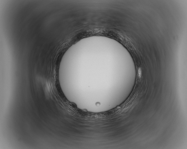 X0000116581203200912101302