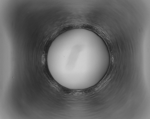 X0000116581204200912101302