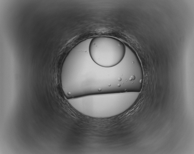 X0000116581205200912101302