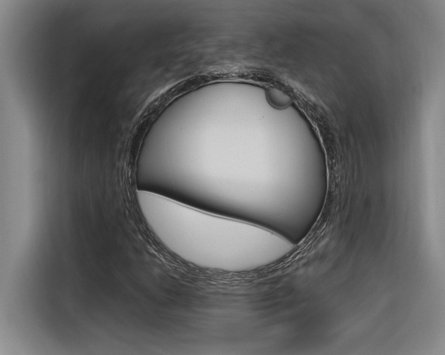 X0000116581206200912101302